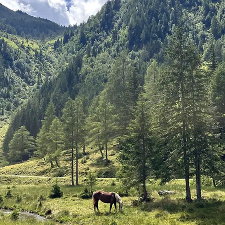 Alpenlodge - Summer With Schladming-dachstein Card شقة *