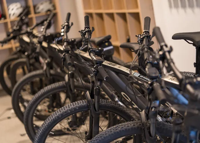 Alpenlodge - Skiing Haus im Ennstal