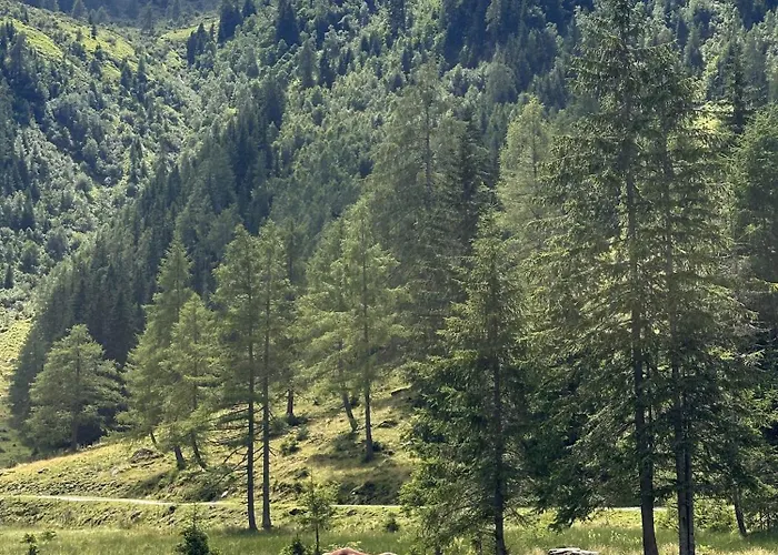 Alpenlodge - Skiing Apartment *